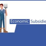 Subsidies On Economy
