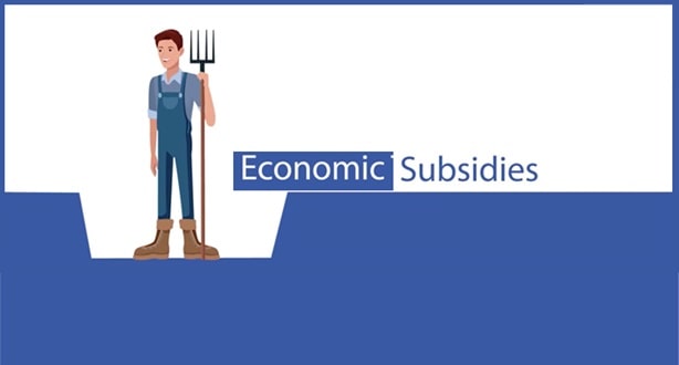 Subsidies On Economy