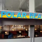 Polar Bear 1