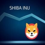 Is Shiba Inu Coin a Good Investment