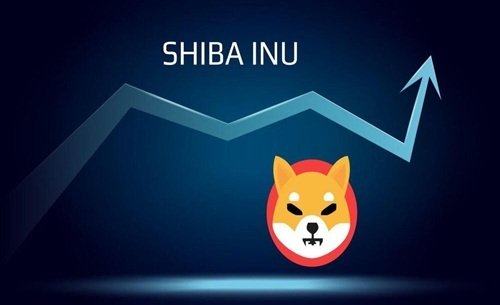 Is Shiba Inu Coin a Good Investment