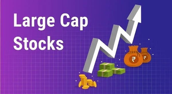 large-cap companies